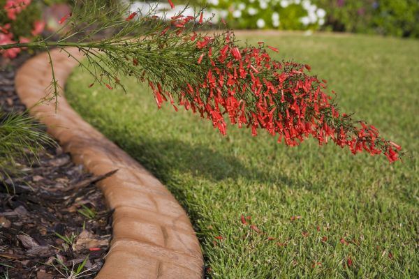 Brick Edging in Jacksonville