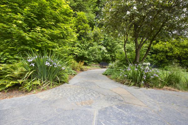 Stone Hardscape Service in Jacksonville