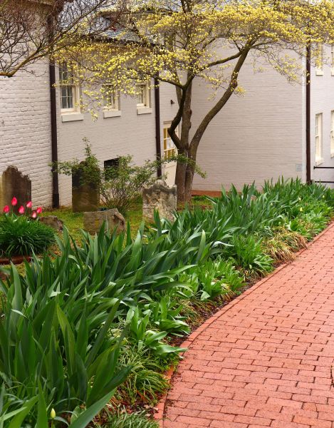 Brick Flatwork Repair in Jacksonville